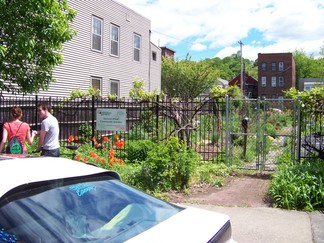 Second Street Community Garden, Troy, NY.