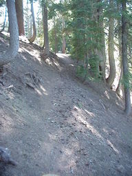 Annie Creek Trail.