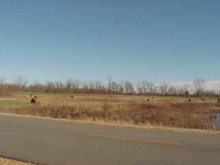 Hay in field.