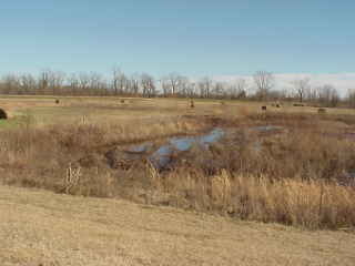 Pasture and wetland.