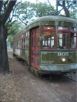 Trolley on St. Charles Avenue.