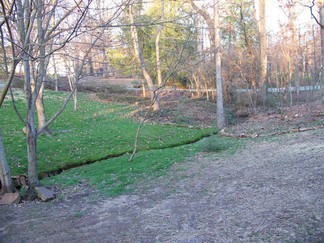Herb and Ruby's yard, Signal Mtn, Tennessee.
