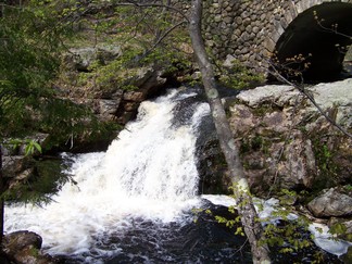 Dance Deepening Retreat, Athol, MA.