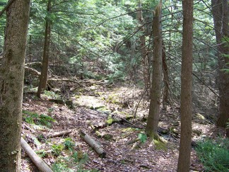 Dance Deepening Retreat, Athol, MA.