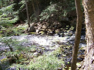 Dance Deepening Retreat, Athol, MA.