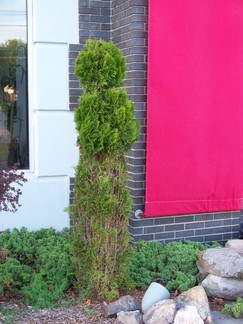 Living Seed, New Paltz, NY.
