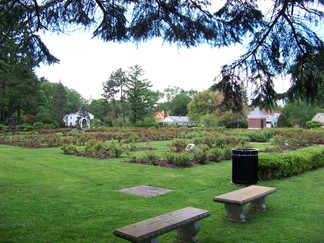 Central Park Rose Garden in Schenectady, NY.
