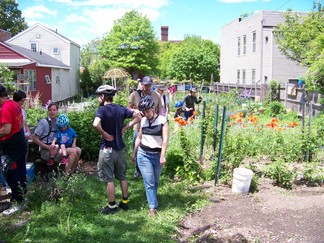 Second Street Community Garden, Troy, NY.