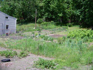 Paul's Place Community Garden.