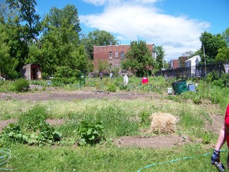 8th St Garden.