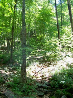 Long Path Hike, Catskills, NY.