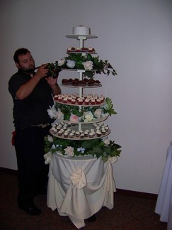 David and Nina's Wedding Reception, Hibernian, Schenectady, NY.