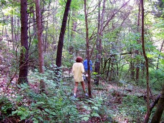 Geocaching, SUUSI 2010, Radford, VA.