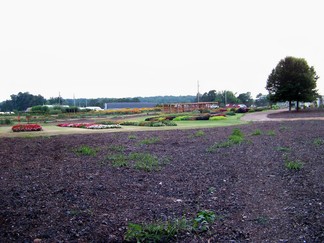 JC Raulston Arboretum, Raleigh, NC.