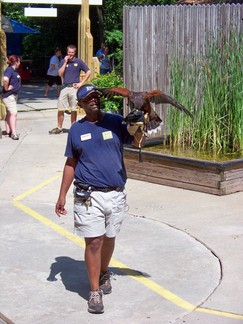 Zoo Atlanta, GA.
