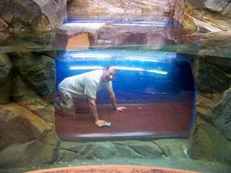 Georgia Aquarium, Atlanta, GA.