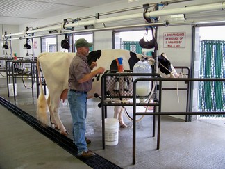 Duchess County Fair, Rheinbeck, NY.