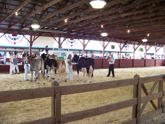 Duchess County Fair, Rheinbeck, NY.