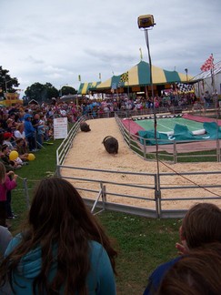 Duchess County Fair, Rheinbeck, NY.