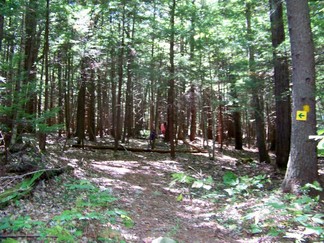 NE Sufi Dance Camp, Athol, MA.