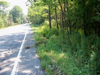 Grafton Peace Pagoda, NY.