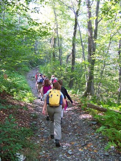 Berlin Mountain via the Taconic Crest Trail, NY.