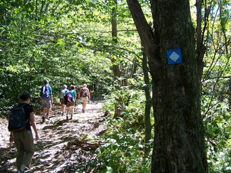 Berlin Mountain via the Taconic Crest Trail, NY.