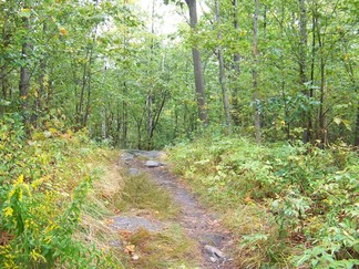 Hadley Mountain Fire Tower, NY.