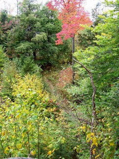 Cat and Thomas Mountain Hike, Lake George, NY.