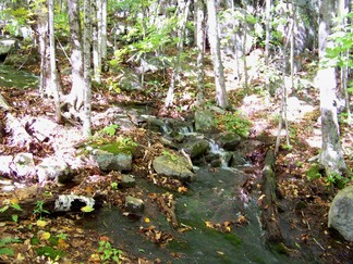 Hadley Fire Tower Hike 2, NY.