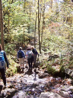 Hadley Fire Tower Hike 2, NY.