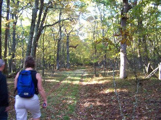 Mountatin Lake Biological Station near Blacksburg, VA.