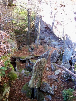 Mountatin Lake Biological Station near Blacksburg, VA.