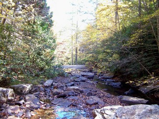 Dismal Falls, Virginia.