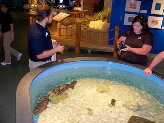 Nauticus Museum, Norfolk, VA.