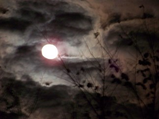 Full moon at Saratoga Battlefield, NY.