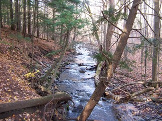 Plotter Kill Preserve, Schnectady, NY