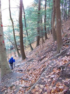 Plotter Kill Preserve, Schnectady, NY