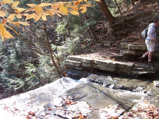 Plotter Kill Preserve, Schnectady, NY
