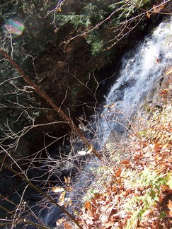 Plotter Kill Preserve, Schnectady, NY