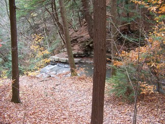 Plotter Kill Preserve, Schnectady, NY