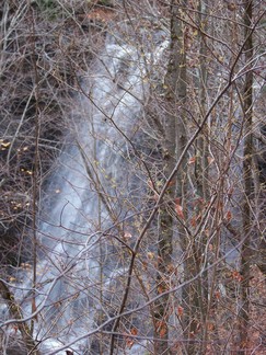 Plotter Kill Preserve, Schnectady, NY