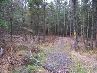 Long Path along Middleburgh Clifts, NY.