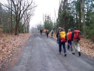 Long Path along Middleburgh Clifts, NY.