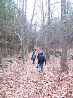 Long Path along Middleburgh Clifts, NY.