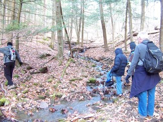 Long Path along Middleburgh Clifts, NY.