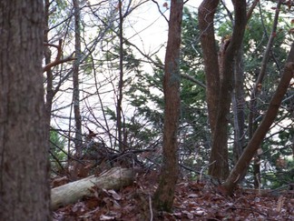 Long Path along Middleburgh Clifts, NY.