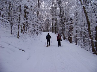 Merck Forest and Farmland Center in Rupert, VT.