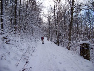 Merck Forest and Farmland Center in Rupert, VT.