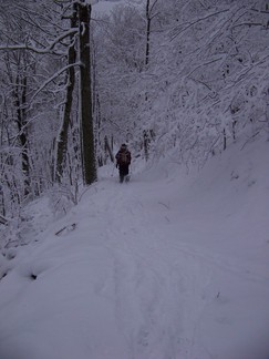 Merck Forest and Farmland Center in Rupert, VT.